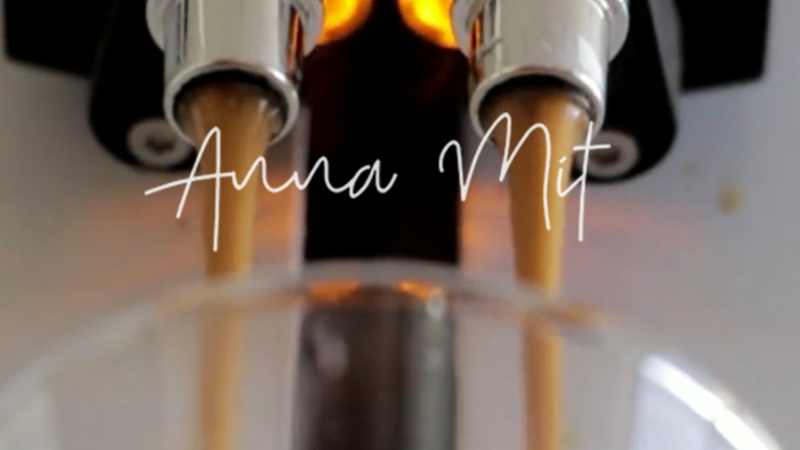 Logo Anna - Mit